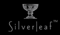 Silverleaf at DC Ranch, Scottsdale, Arizona 85255